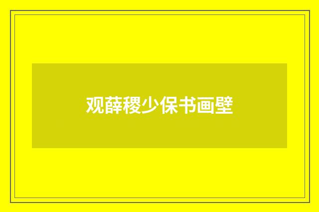 观薛稷少保书画壁