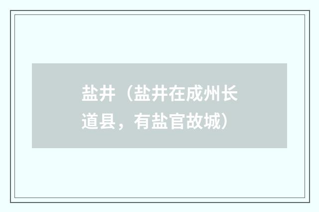 盐井（盐井在成州长道县，有盐官故城）