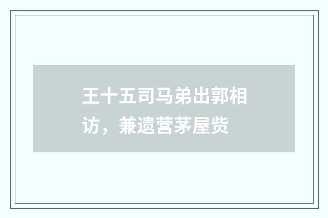 王十五司马弟出郭相访，兼遗营茅屋赀