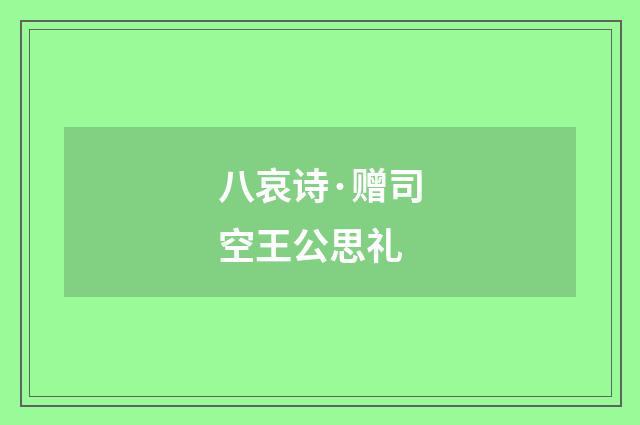 八哀诗·赠司空王公思礼