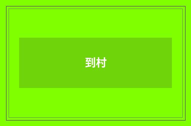 到村