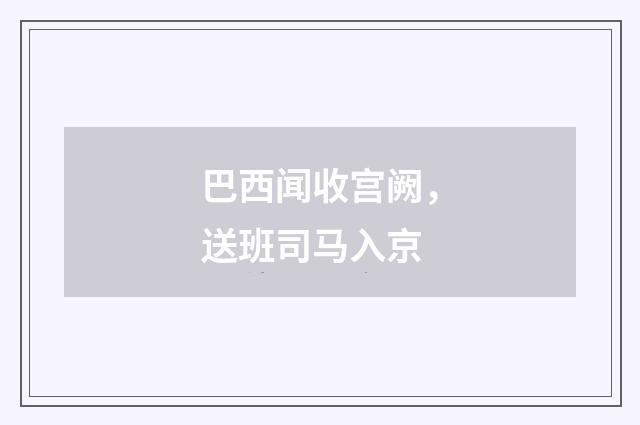 巴西闻收宫阙，送班司马入京