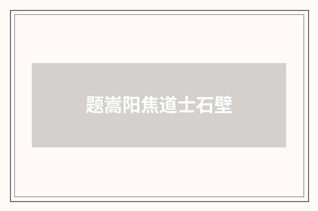题嵩阳焦道士石壁