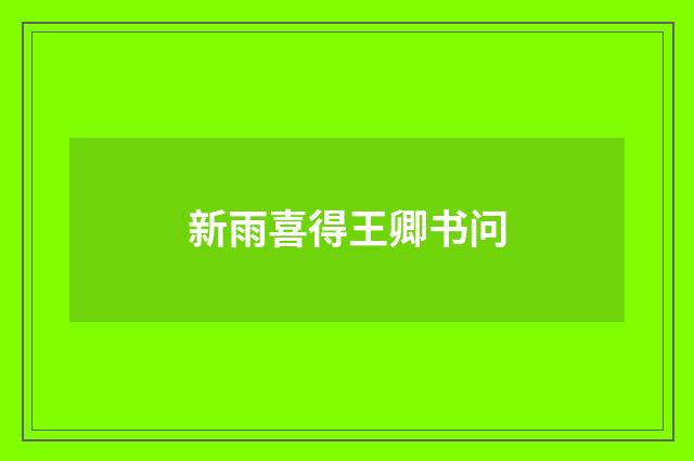 新雨喜得王卿书问