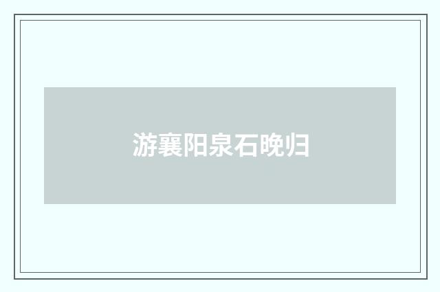 游襄阳泉石晚归