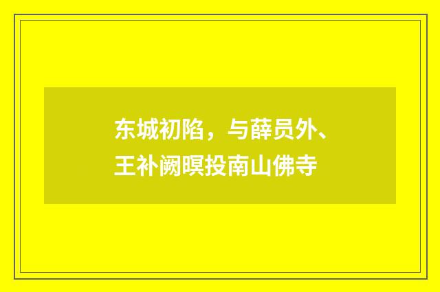 东城初陷，与薛员外、王补阙暝投南山佛寺