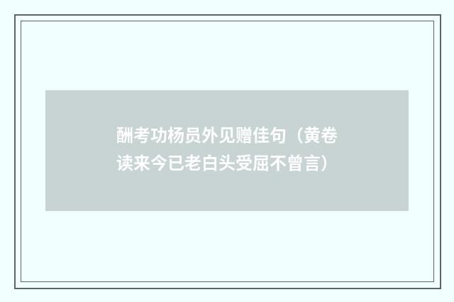 酬考功杨员外见赠佳句（黄卷读来今已老白头受屈不曾言）