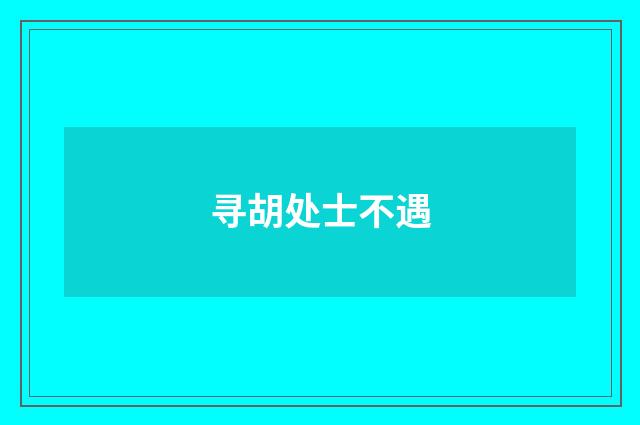 寻胡处士不遇