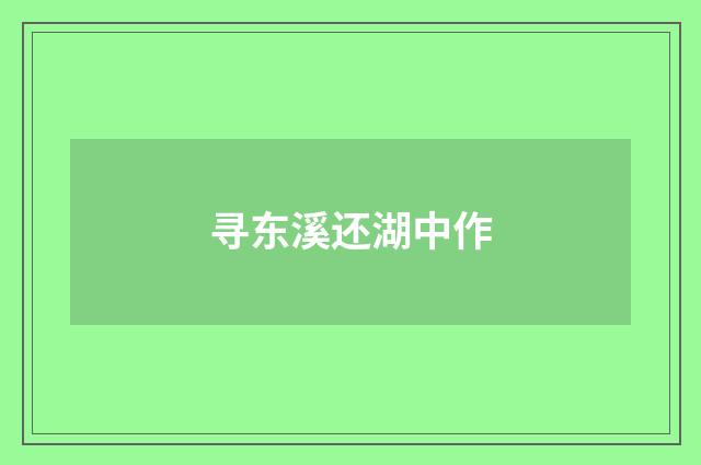 寻东溪还湖中作