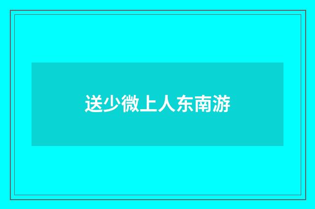 送少微上人东南游