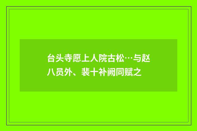 台头寺愿上人院古松…与赵八员外、裴十补阙同赋之