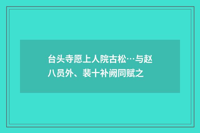 台头寺愿上人院古松…与赵八员外、裴十补阙同赋之