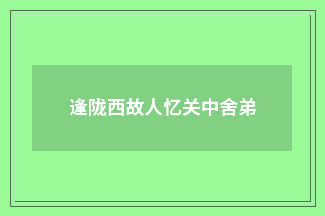 逢陇西故人忆关中舍弟