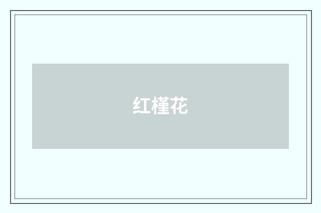 红槿花