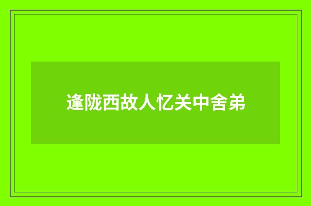逢陇西故人忆关中舍弟