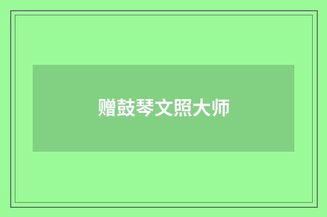 赠鼓琴文照大师