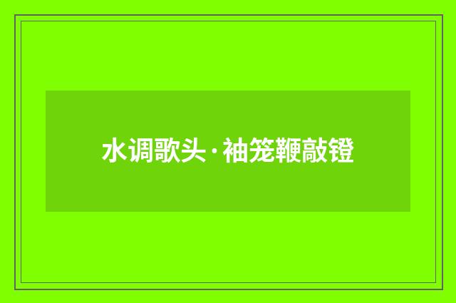 水调歌头·袖笼鞭敲镫