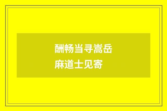 酬畅当寻嵩岳麻道士见寄