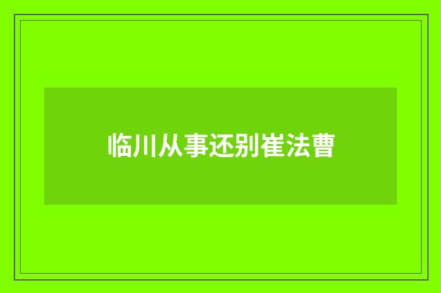临川从事还别崔法曹