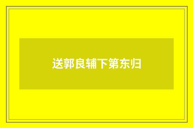 送郭良辅下第东归