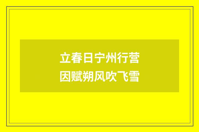 立春日宁州行营因赋朔风吹飞雪