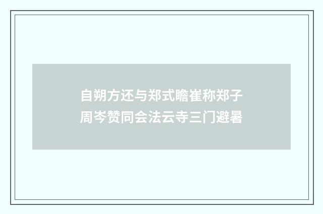 自朔方还与郑式瞻崔称郑子周岑赞同会法云寺三门避暑