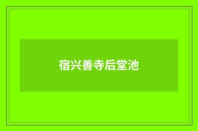 宿兴善寺后堂池