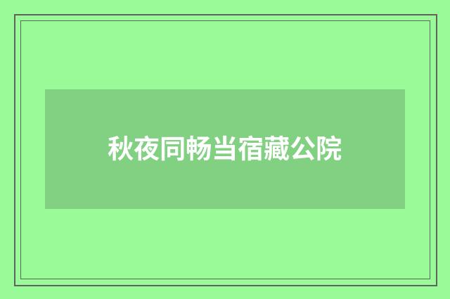 秋夜同畅当宿藏公院