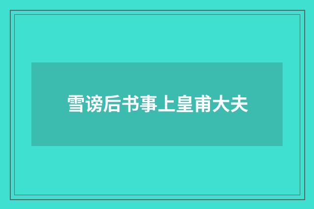 雪谤后书事上皇甫大夫