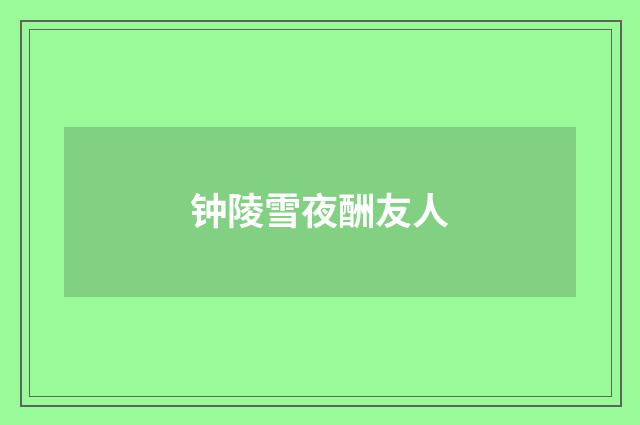 钟陵雪夜酬友人