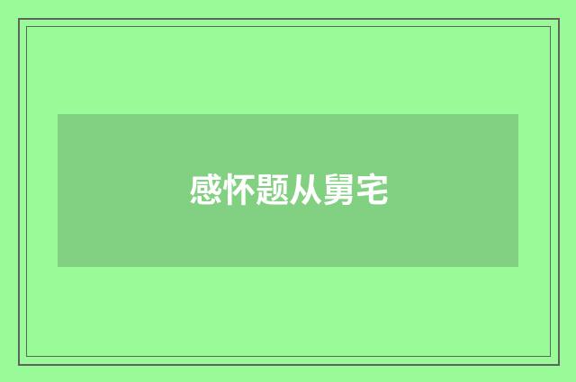 感怀题从舅宅