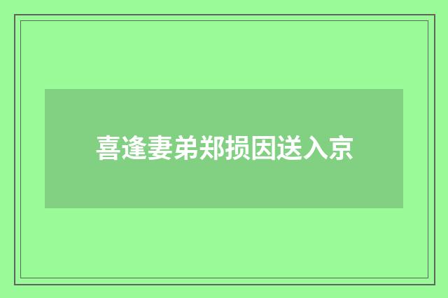 喜逢妻弟郑损因送入京