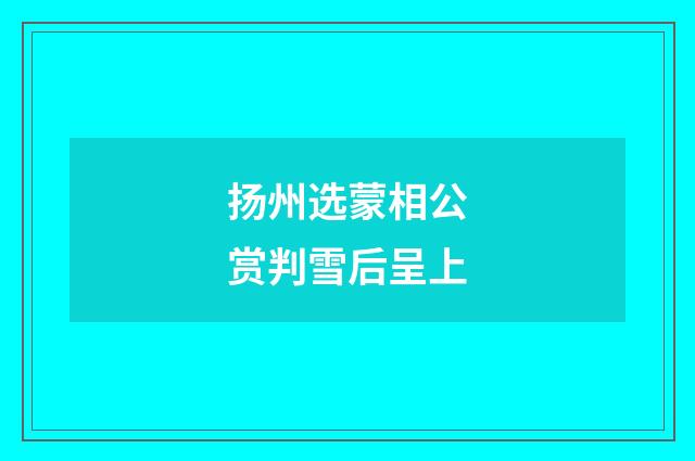 扬州选蒙相公赏判雪后呈上