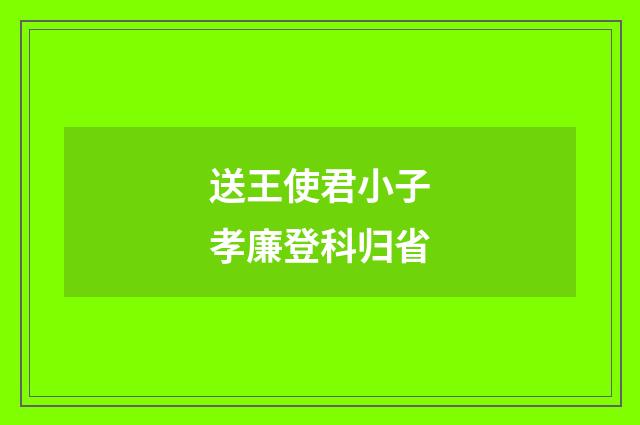 送王使君小子孝廉登科归省