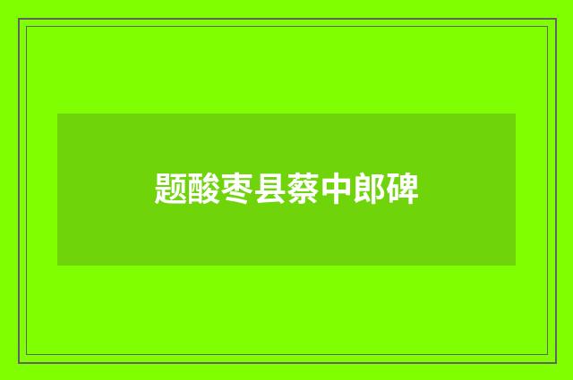 题酸枣县蔡中郎碑