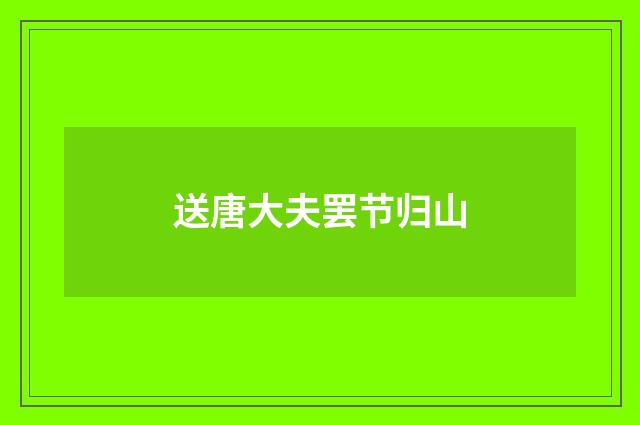 送唐大夫罢节归山