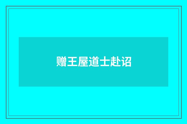 赠王屋道士赴诏
