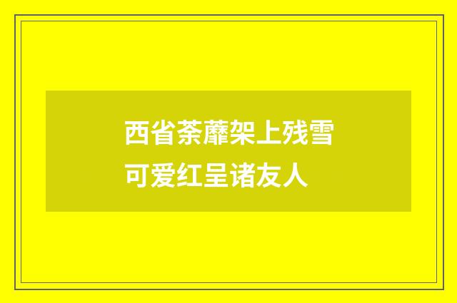 西省荼蘼架上残雪可爱红呈诸友人