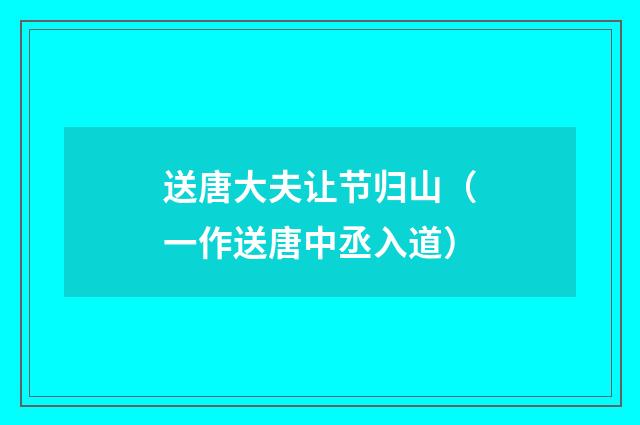 送唐大夫让节归山（一作送唐中丞入道）
