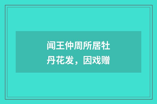闻王仲周所居牡丹花发，因戏赠