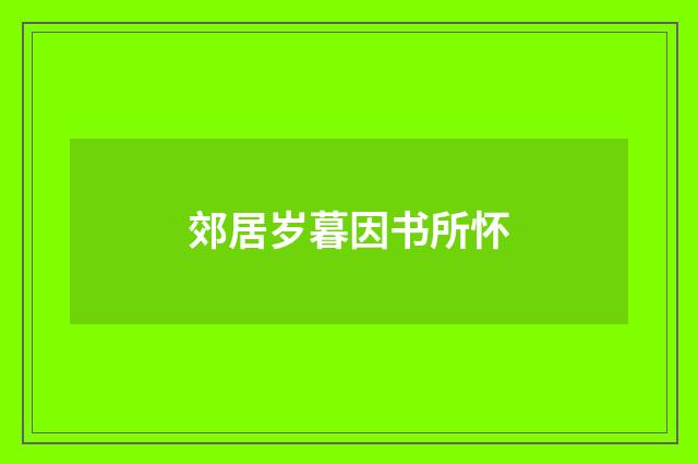 郊居岁暮因书所怀