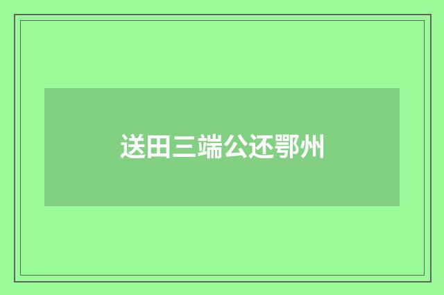 送田三端公还鄂州