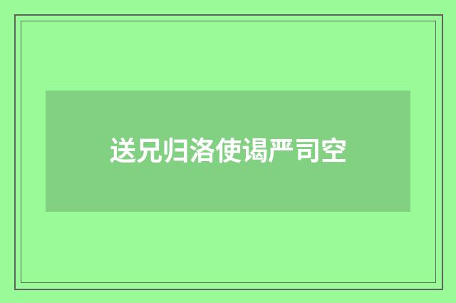 送兄归洛使谒严司空