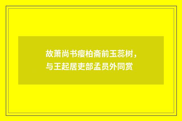 故萧尚书瘿柏斋前玉蕊树，与王起居吏部孟员外同赏