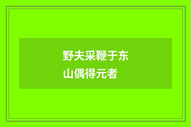 野夫采鞭于东山偶得元者