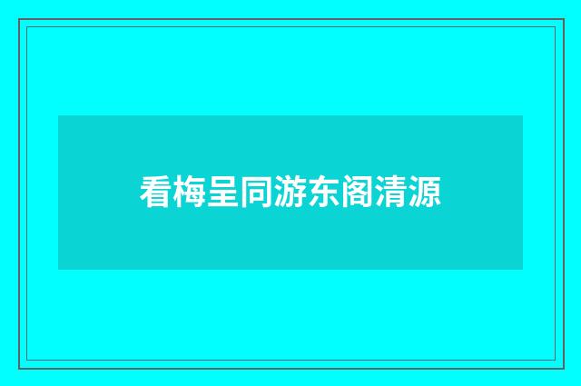 看梅呈同游东阁清源