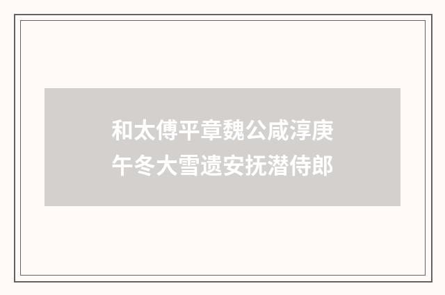 和太傅平章魏公咸淳庚午冬大雪遗安抚潜侍郎