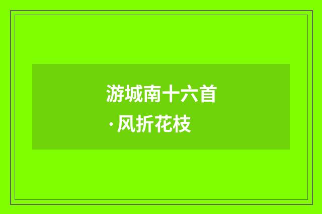 游城南十六首·风折花枝
