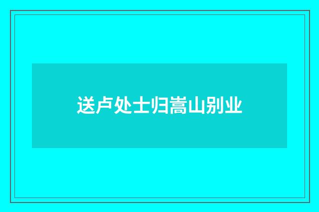 送卢处士归嵩山别业