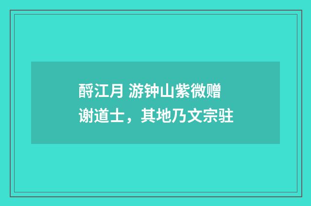 酹江月 游钟山紫微赠谢道士，其地乃文宗驻